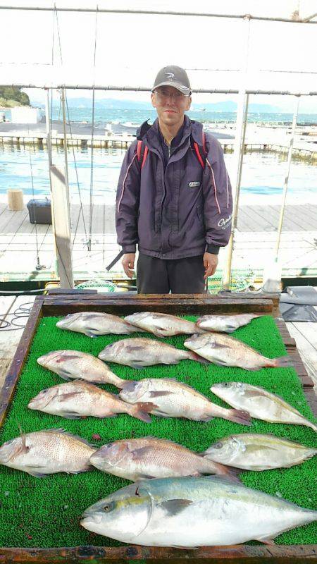 海の釣堀 海恵 釣果