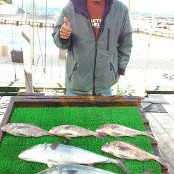海の釣堀 海恵 釣果