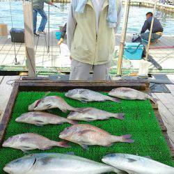 海の釣堀 海恵 釣果