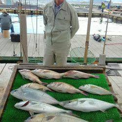 海の釣堀 海恵 釣果