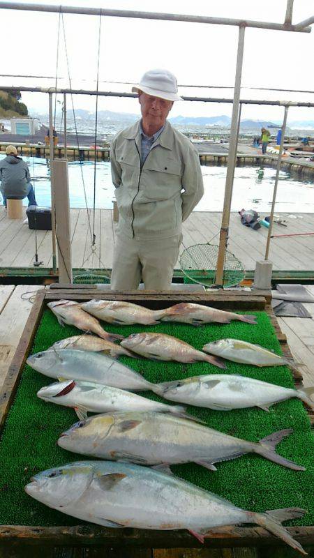 海の釣堀 海恵 釣果