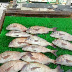 海の釣堀 海恵 釣果