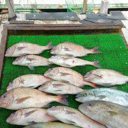 海の釣堀 海恵 釣果
