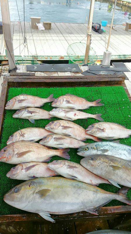 海の釣堀 海恵 釣果