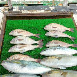 海の釣堀 海恵 釣果