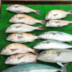 海の釣堀 海恵 釣果
