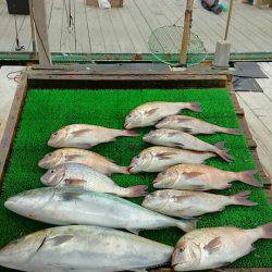 海の釣堀 海恵 釣果