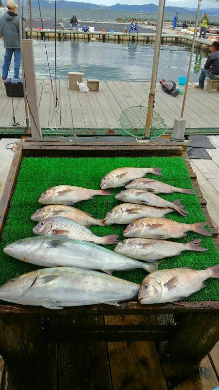海の釣堀 海恵 釣果