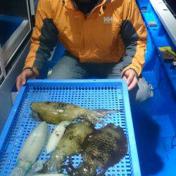 第三共栄丸 釣果