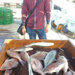 海の釣堀 海恵 釣果