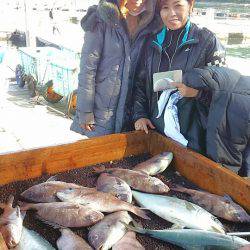 海の釣堀 海恵 釣果