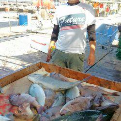 海の釣堀 海恵 釣果