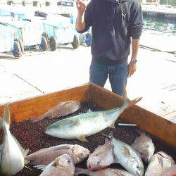 海の釣堀 海恵 釣果