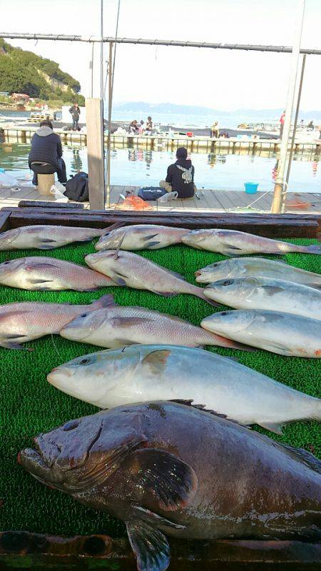 海の釣堀 海恵 釣果
