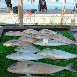 海の釣堀 海恵 釣果