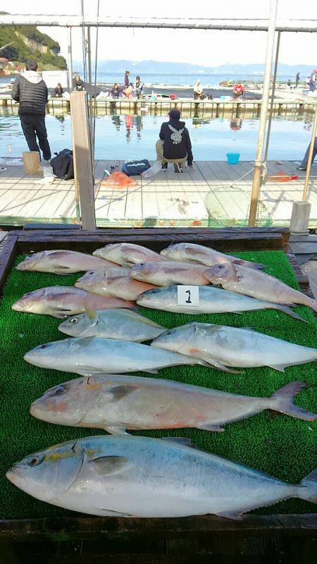 海の釣堀 海恵 釣果