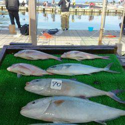 海の釣堀 海恵 釣果