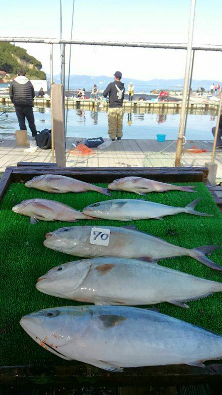 海の釣堀 海恵 釣果