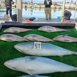 海の釣堀 海恵 釣果