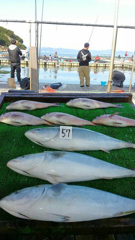 海の釣堀 海恵 釣果