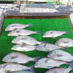 海の釣堀 海恵 釣果
