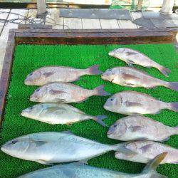 海の釣堀 海恵 釣果