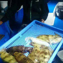 第三共栄丸 釣果