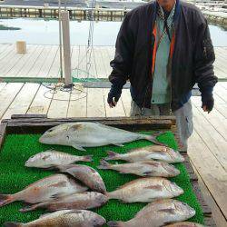 海の釣堀 海恵 釣果