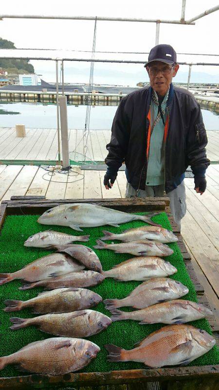 海の釣堀 海恵 釣果