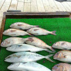 海の釣堀 海恵 釣果