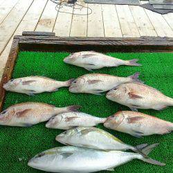 海の釣堀 海恵 釣果