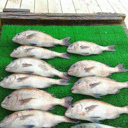 海の釣堀 海恵 釣果