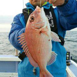 新幸丸 釣果