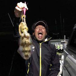 South Current 釣果