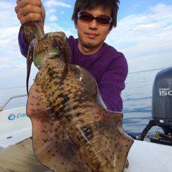 South Current 釣果