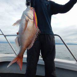 LUSTER『ラスター』 釣果