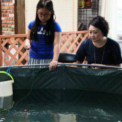 としまえんフィッシングエリア 釣果