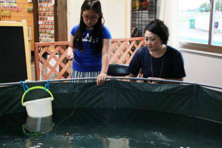 としまえんフィッシングエリア 釣果