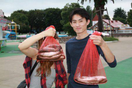 としまえんフィッシングエリア 釣果