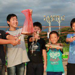 としまえんフィッシングエリア 釣果