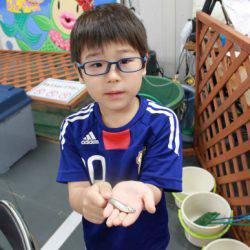 としまえんフィッシングエリア 釣果