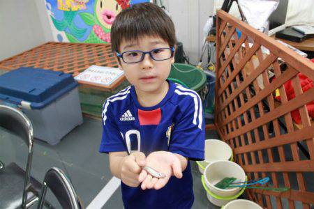 としまえんフィッシングエリア 釣果