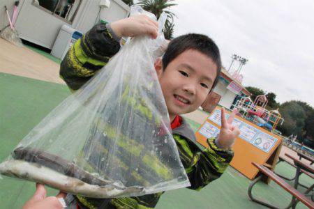 としまえんフィッシングエリア 釣果