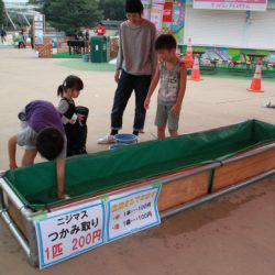 としまえんフィッシングエリア 釣果