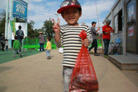 としまえんフィッシングエリア 釣果