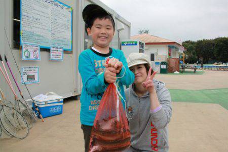 としまえんフィッシングエリア 釣果