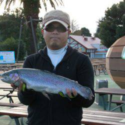 としまえんフィッシングエリア 釣果