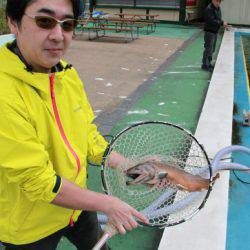 としまえんフィッシングエリア 釣果