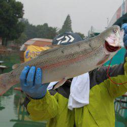 としまえんフィッシングエリア 釣果