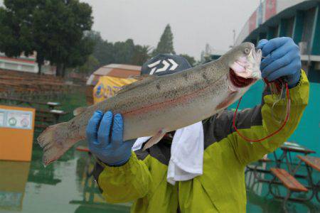 としまえんフィッシングエリア 釣果